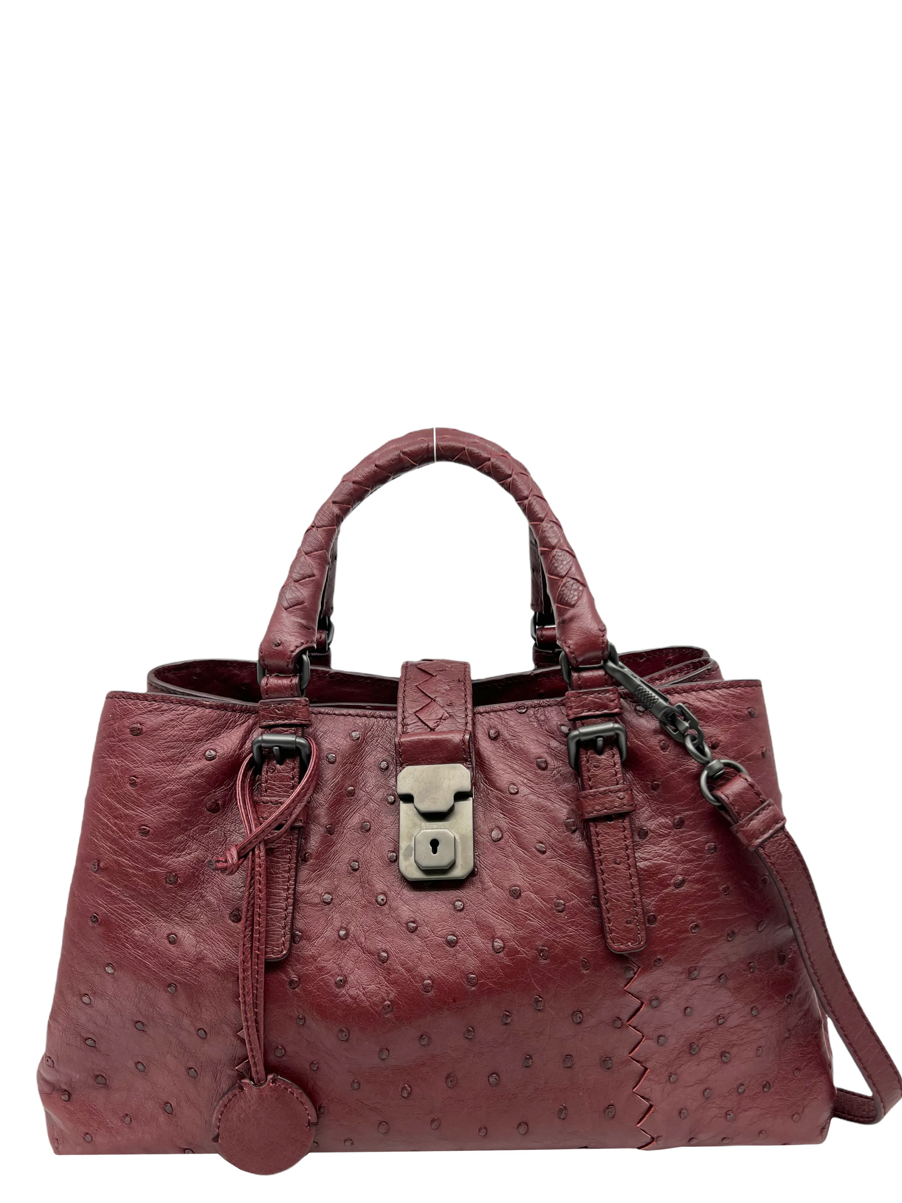 Bottega Veneta Ostrich Small Roma Bag NWT