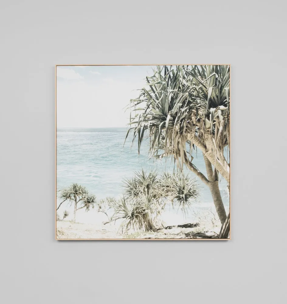 Coastal Palms Framed Canvas