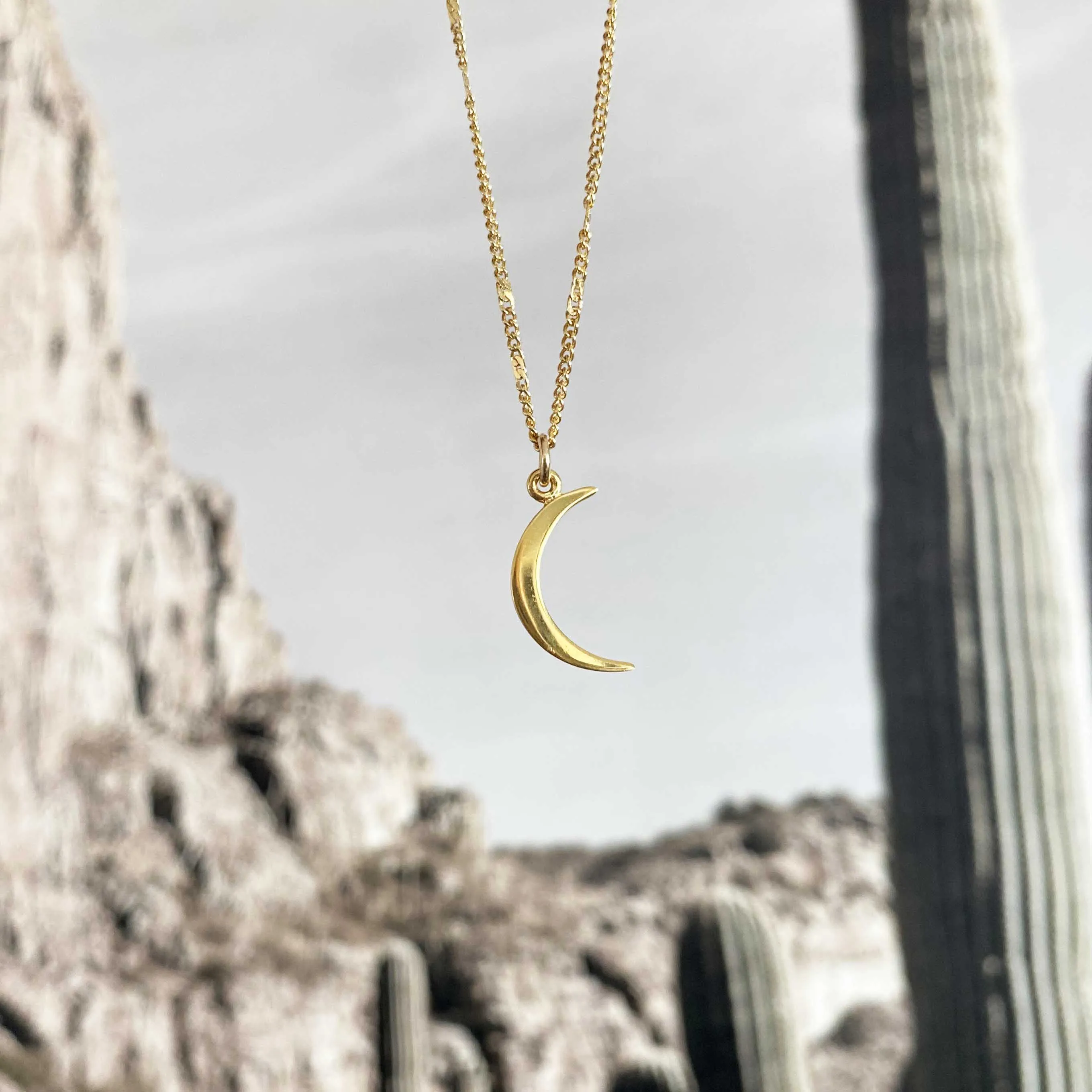 Crescent Moon Necklace