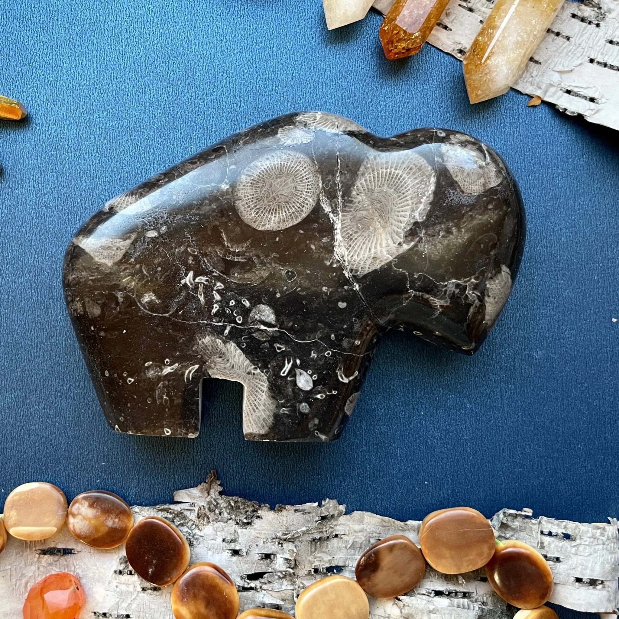 Fossil Coral Buffalo Carving