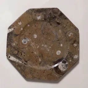 Fossil Octagonal Plate